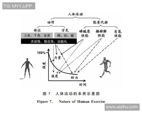 提升运动表现的科学训练方法与个性化训练方案解析